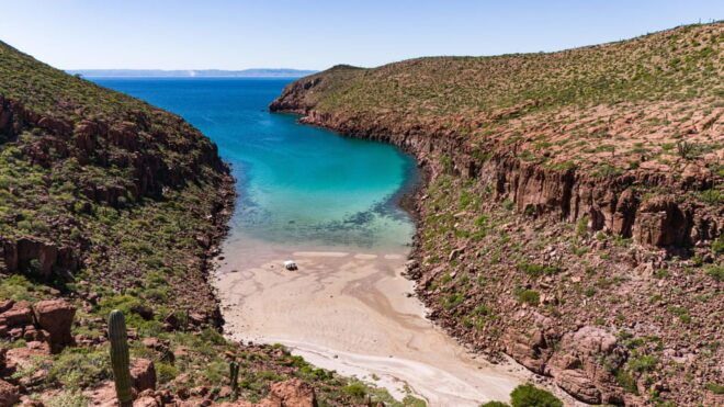 Espiritu Santo Island: Snorkeling Sea Lion Adventure - Customer Reviews and Ratings