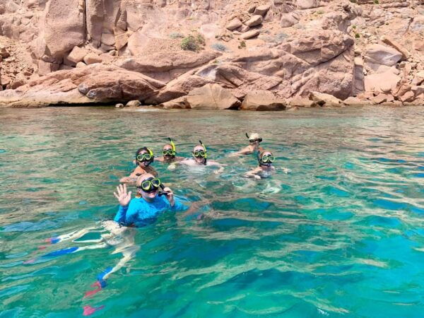 Espiritu Santo Island: Snorkeling Sea Lion Adventure - Experiencing the Sea Lions