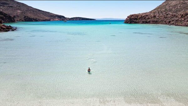 Espiritu Santo Island: Snorkeling Sea Lion Adventure - Exploring the Islands Beauty
