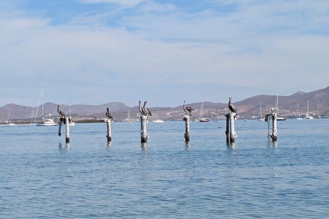 Espíritu Santo Private Scuba Tour - Final Thoughts