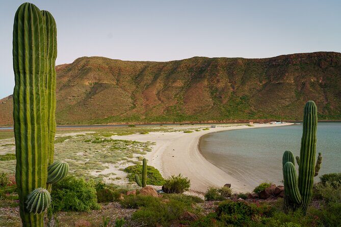 Espiritu Santo Wildlife Expedition and Snorkeling Tour (Private) - Final Thoughts