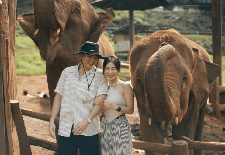 Espresso & Elephant - Key Points