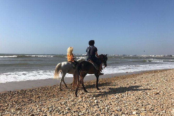 ESSAOUIRA 1 Day Shared Tour From Marrakech - Pricing and Inclusions