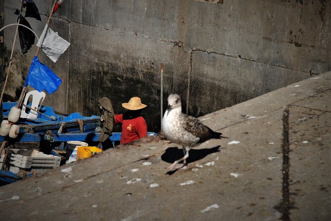 Essaouira 1 Day Tour From Marrakech - Booking Information