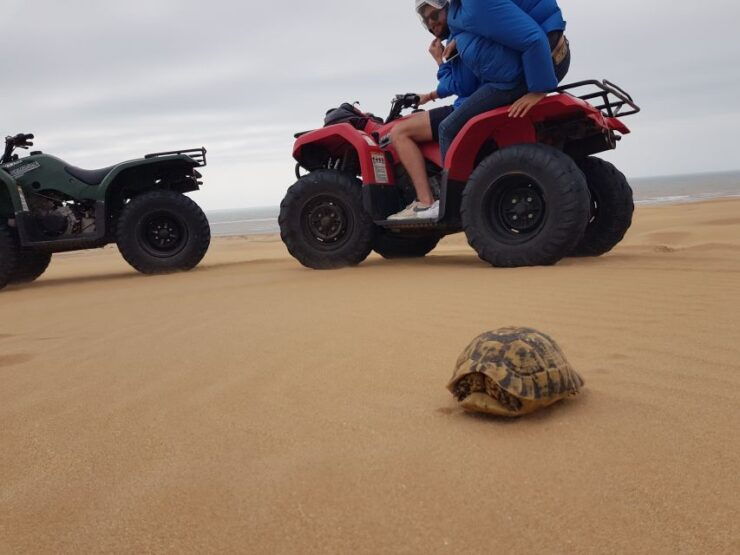 Essaouira : 1H Quad Bike Tour and 1H Camel Ride - Experience Highlights