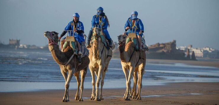 Essaouira: 2-Hour Camel Ride - Booking Details