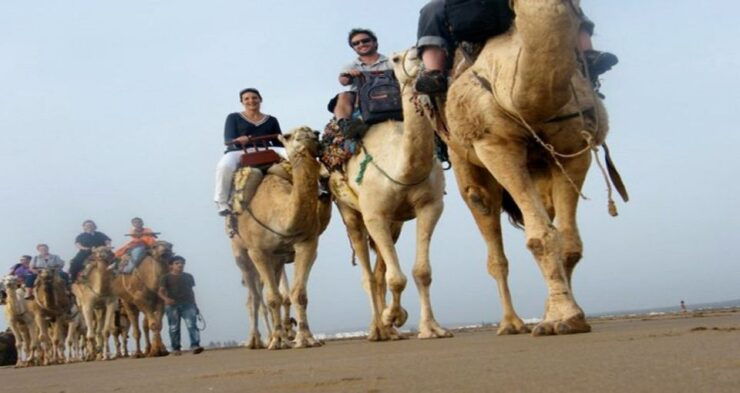 Essaouira: 2-Hour Camel Ride - Experience Highlights