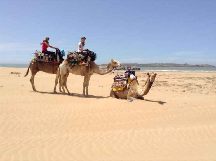 Essaouira: 3-Hour Dromedary Ride and Berber Tent Overnight - Traveler Reviews and Highlights