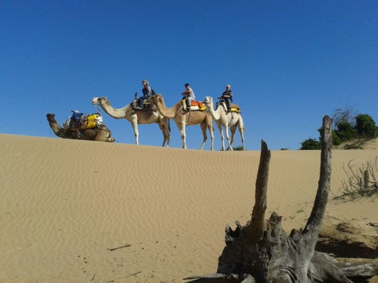 Essaouira: 3-Hour Dromedary Ride and Berber Tent Overnight - Booking Flexibility and Cancellation Policy