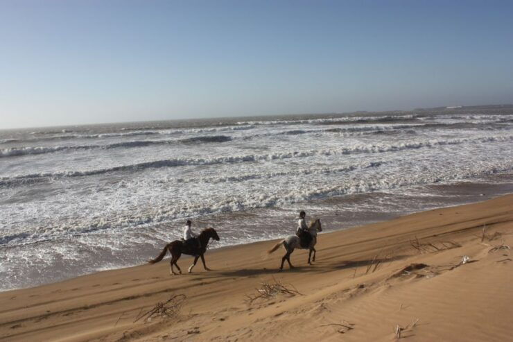 Essaouira: 3-Hour Horseback Ride - Activity Details