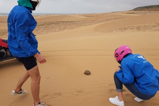 Essaouira: 3-Hour Quad Ride (Minimum 2 People) - Booking Details