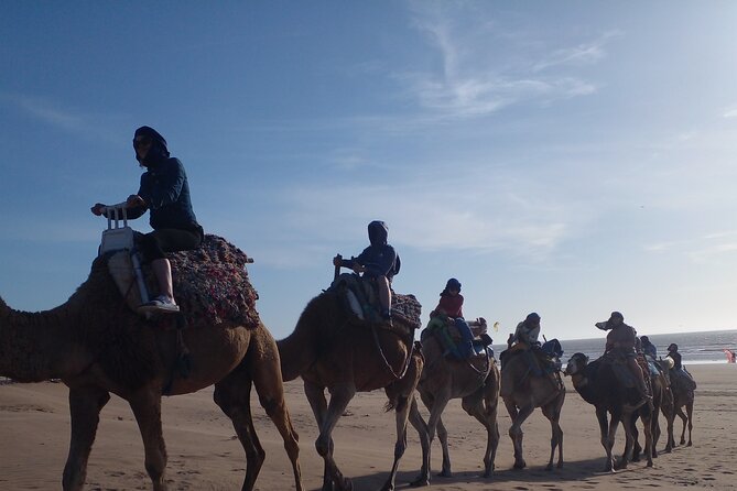 Essaouira: an Unforgettable 2 Hour Ride on a Camel - Cancellation Policy and Guidelines