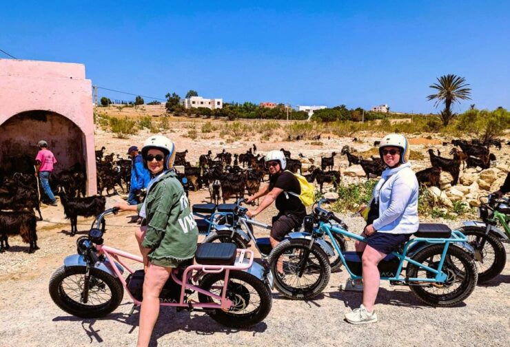 Essaouira: Area Highlights 3 Hours E-Bike Tour - Experience Highlights