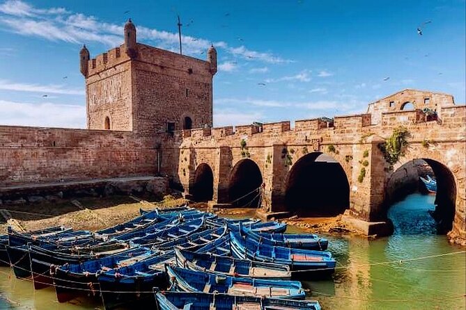 Essaouira Beach: Private Full-Day Luxury Trip From Marrakech - Tour Overview Highlights