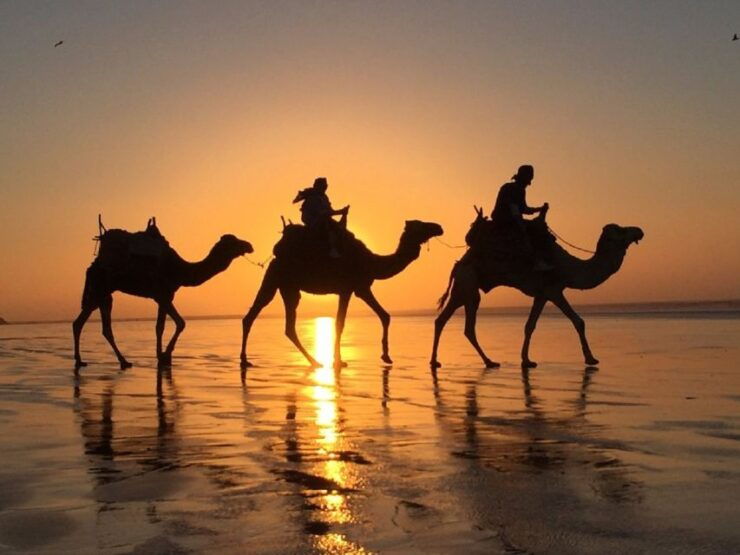 Essaouira: Camel Trek for 2 Hours - Booking Information