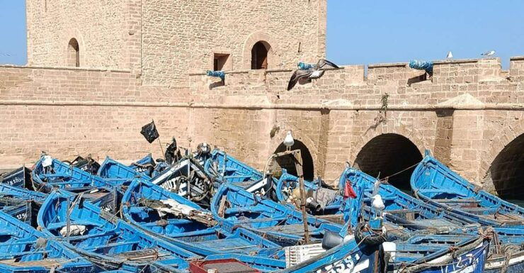 Essaouira Day Trip - Booking and Payment