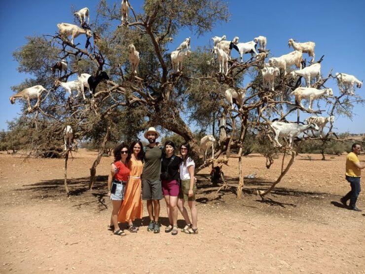 Essaouira Day Trip From Marrakech - Trip Duration and Product ID