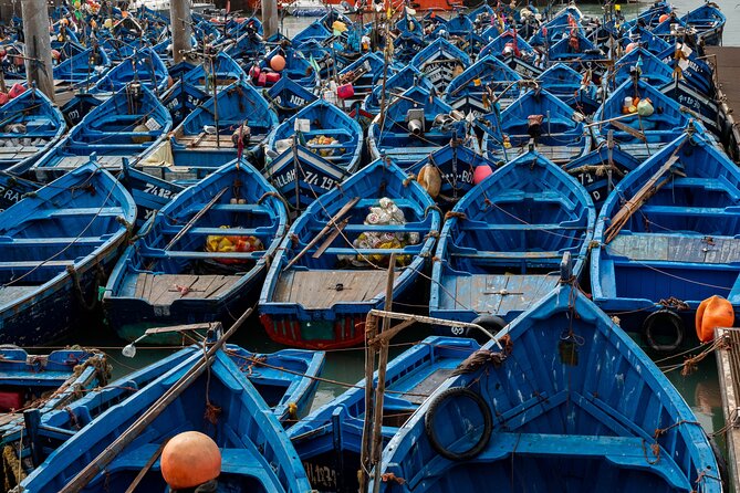 Essaouira Day Trip From Marrakech - Tour Highlights