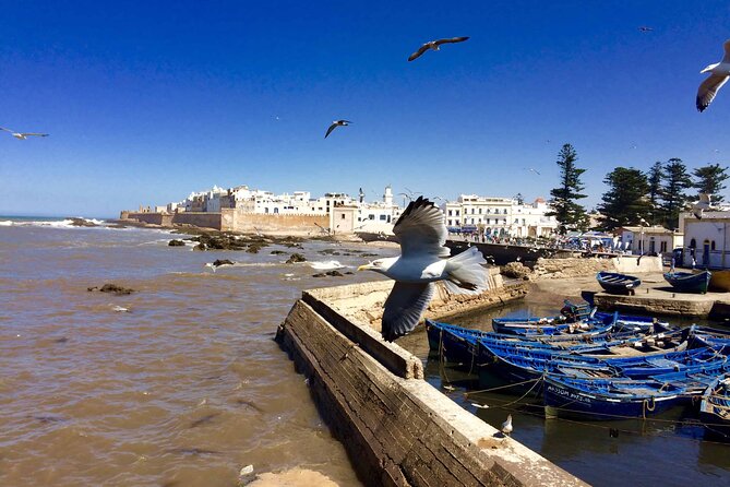 Essaouira Day Trip From Marrakech - Transportation Details