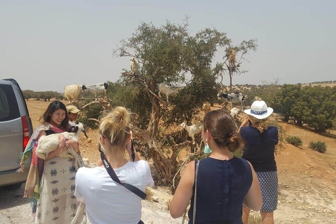 Essaouira Day Trip From Marrakech - Inclusions and Exclusions