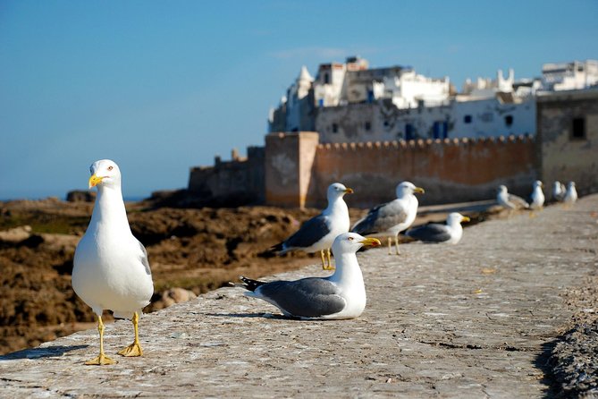 Essaouira Day Trip From Marrakech - Inclusions and Exclusions