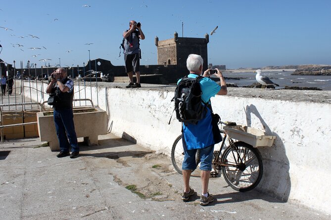 Essaouira Day Trip From Marrakech - Pickup Information