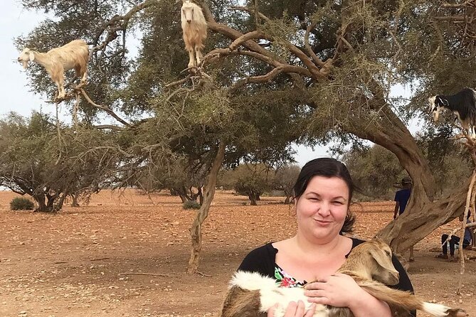 Essaouira Day Trip From Marrakech - Cancellation Policy