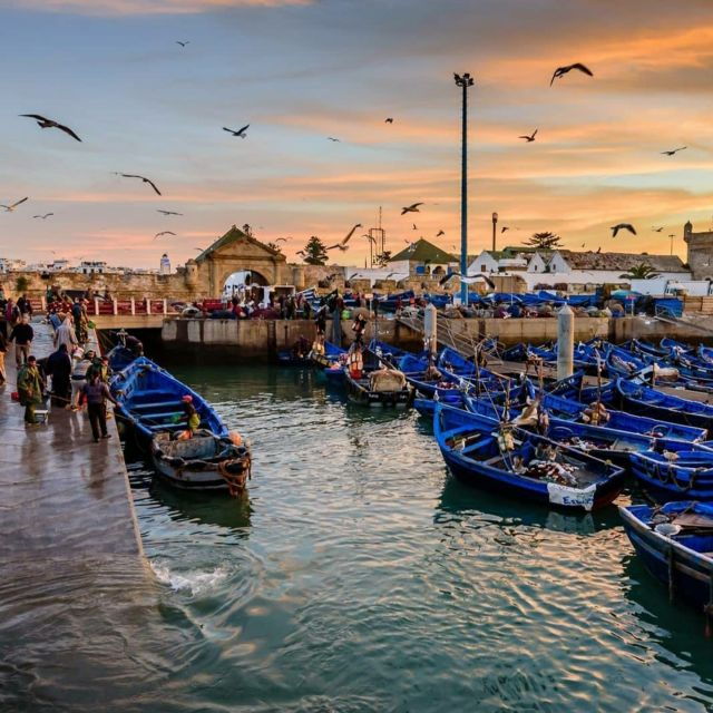 Essaouira Day Trip From Marrakesh - Essaouira Experience