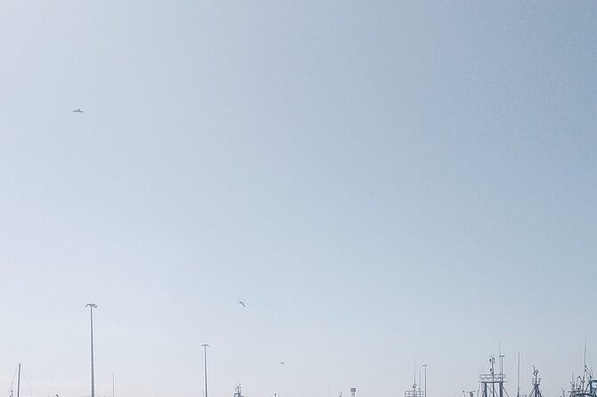 Essaouira Day Trip Shared Group - Essential Travel Tips