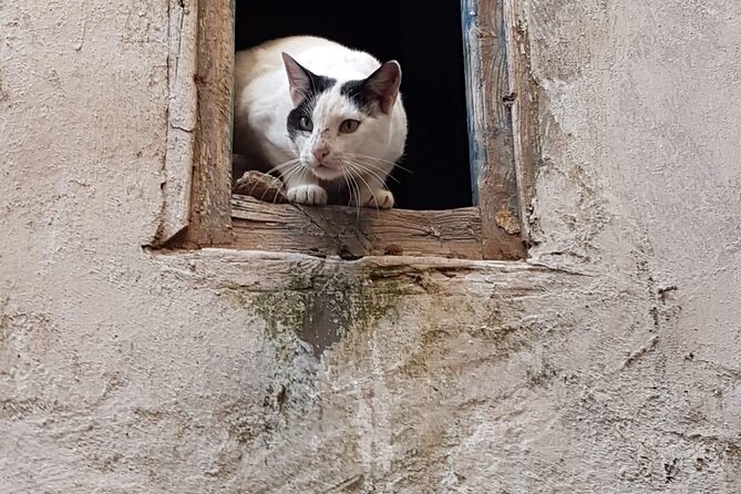 Essaouira Day Trip Shared Group From Marrakech - Additional Information