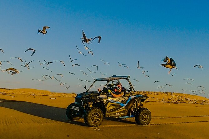 Essaouira Exclusive Dune Buggy Adventure - Inclusions and Equipment Provided