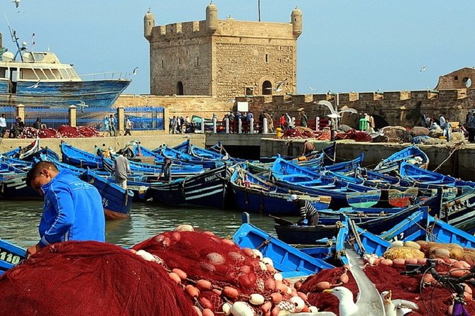 Essaouira From Marrakech Small Group Full Day Tour - Itinerary Highlights