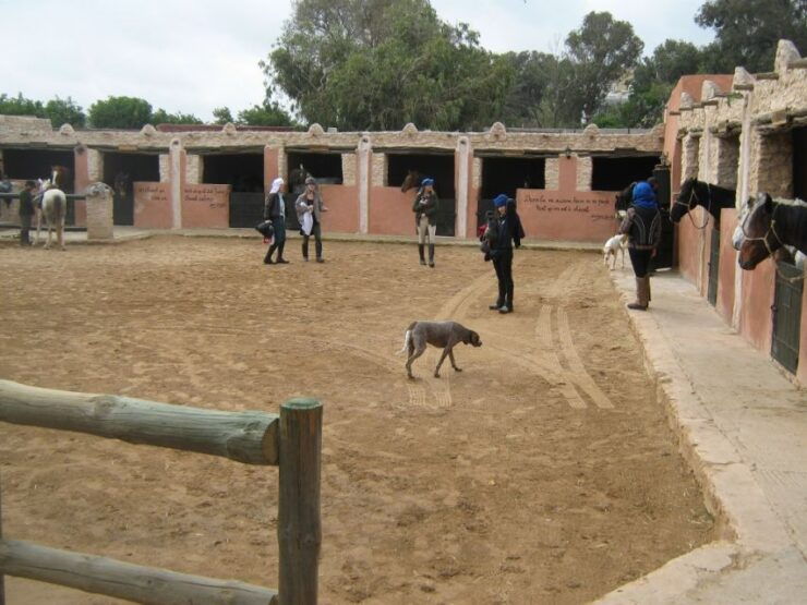 Essaouira: Full-Day Horse Riding Tour With Lunch - Tour Duration and Starting Times