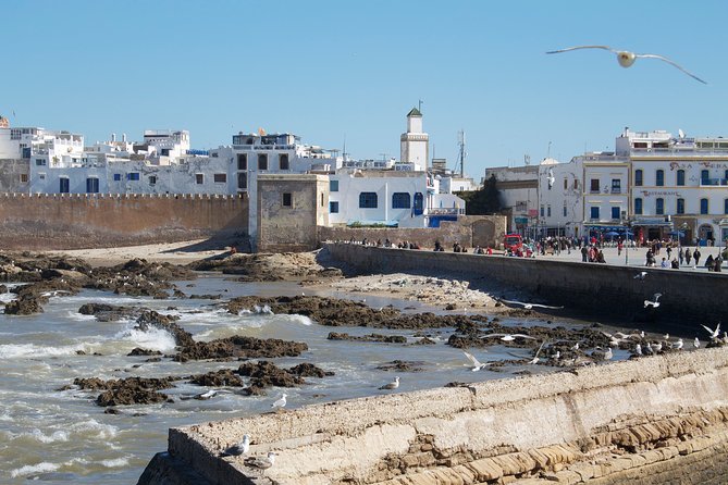 Essaouira Full-Day Tour From Marrakech - Reviews