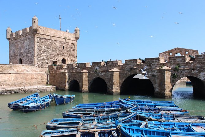 Essaouira Guided Day Trip From Agadir - Good To Know