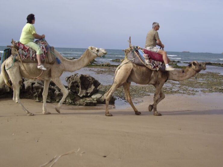 Essaouira: Guided Dromedary Riding Tour - Experience Highlights