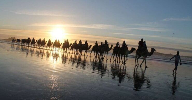 Essaouira: Guided Quad Bike Tour and Camel Ride - Tour Overview & Cancellation Policy