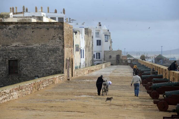 Essaouira: Half-Day Old Town Guided Tour - Activity Details