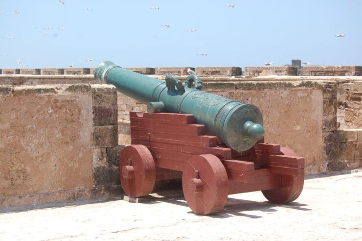 Essaouira: History and Culture Day Trip - Experience