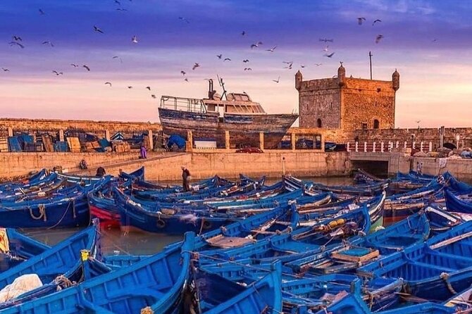Essaouira Mogador City Guided Full-Day Trip From Marrakech - Highlights
