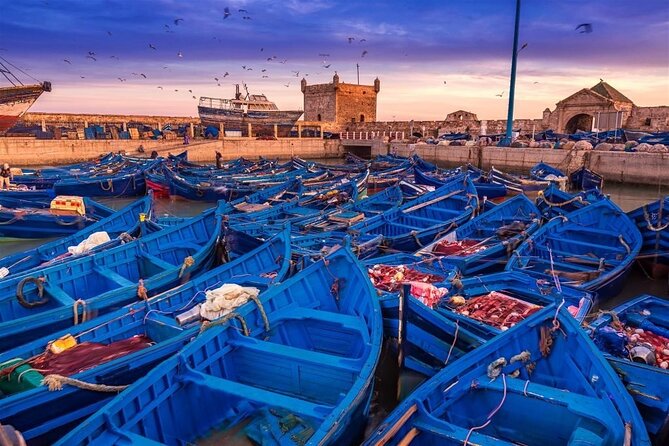 Essaouira Mogador: Small-Group Day Trip From Marrakech - Itinerary Details