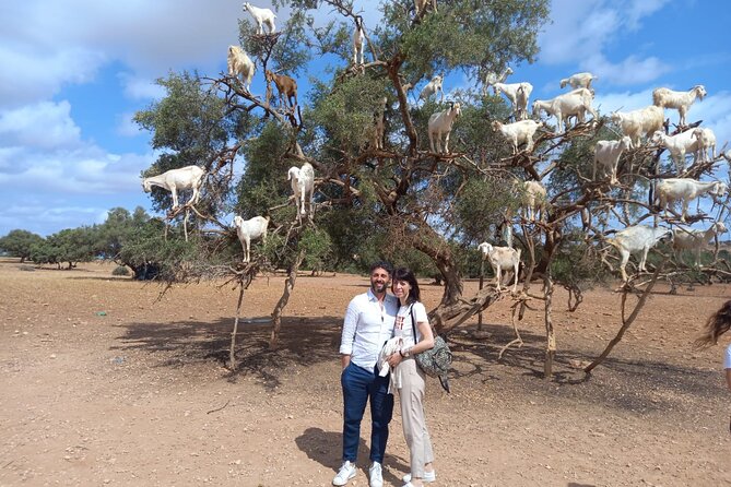 Essaouira One Day Trip From Marrakech - Pickup Details