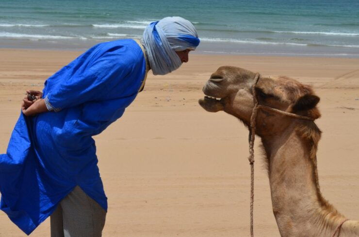 Essaouira: One Hour Dromedary Ride - Activity Details