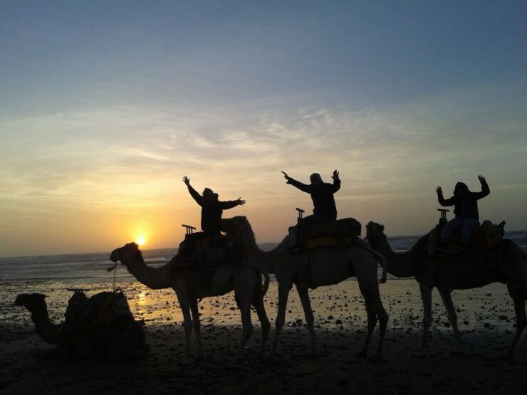 Essaouira: One Hour Dromedary Ride - Reservation Information