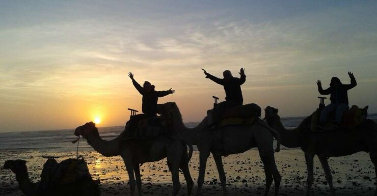 Essaouira: One Hour Dromedary Ride - Booking Details and Flexibility