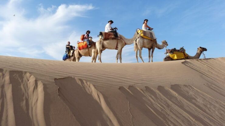 Essaouira: One Hour Dromedary Ride - Activity Experience