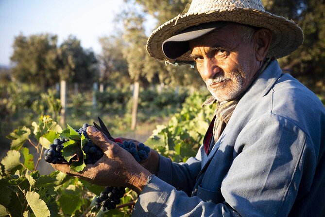 Essaouira Private 1 Day Excursion From Marrakech (Min. 2 Paying Persons) - Árgan Cooperative Visit