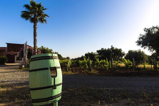 Essaouira Private 1 Day Excursion From Marrakech (Min. 2 Paying Persons) - Frequently Asked Questions