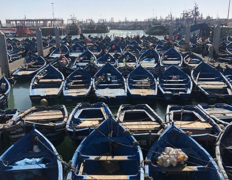 Essaouira: Private City Tour - Tour Experience