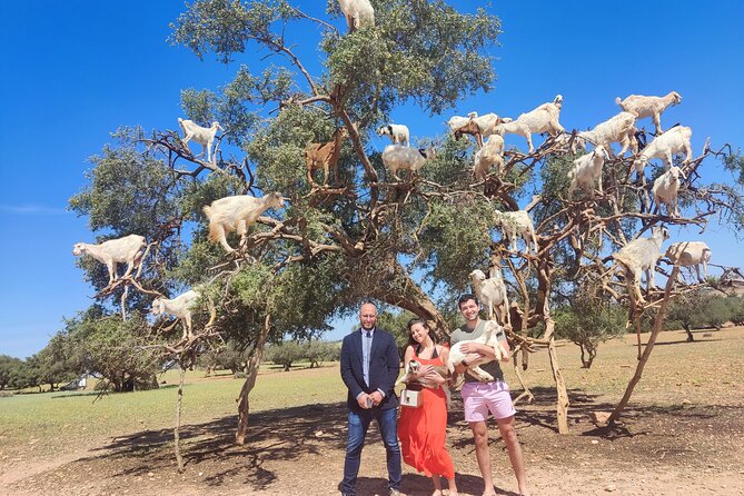 Essaouira Private Day Excursion From Marrakech - Reviews